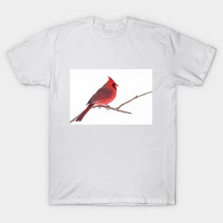 Northern Cardinal T-Shirt